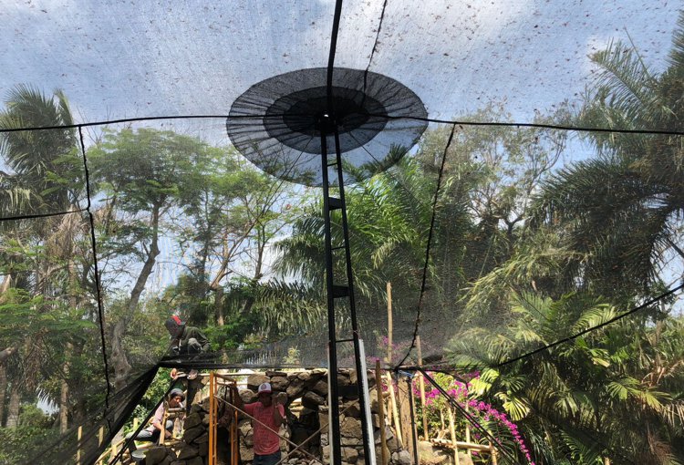 cairns commercial shade sails Bali Bird Park